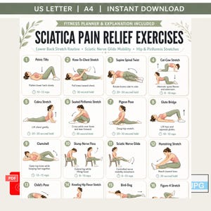 May include: A digital fitness planner chart titled Sciatica Pain Relief Exercises, featuring sixteen numbered illustrations of individuals performing various stretches and movements, including pelvic tilts, cat-cow, and child's pose, with text instructions.