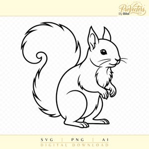 May include: A black and white line art illustration of a squirrel with a large bushy tail, pointed ears, and whiskers. The image features the text ProVectors By Bilal at the top and SVG, PNG, AI, DIGITAL DOWNLOAD at the bottom.