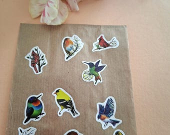 Assorted Bird Stickers | Realistic Bird Decals for Nature Journals, Scrapbooking, Water Bottles | Bird Lover Gift