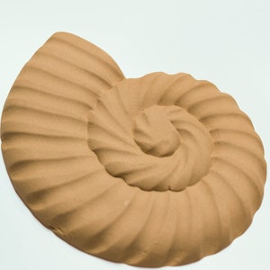 Sea Shell 16 Χ 15 cm - Bending model - Flexible - Wood decoration - Wooden Furniture Moulding