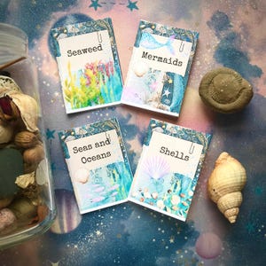 May include: Four small, colorful notebooks with a sea-themed design. The notebooks are titled "Seaweed", "Mermaids", "Seas and Oceans", and "Shells".