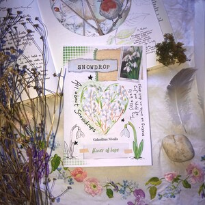 Könnte beinhalten: Eine weiße Karte mit einer handgezeichneten Illustration einer herzförmigen Anordnung von Schneeglöckchen. Die Karte trägt den Text "All about Snowdrops" und "Tiny little bells of hope and joy, making us smile on dull days".