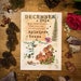 December zine, folklore, nature, animals, herbal remedies, moon, plants, yule, flowers, educational, Christmas, seasonal zine. 