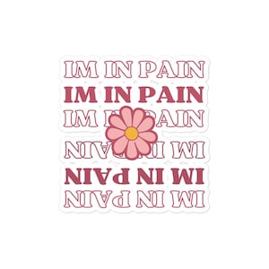 May include: A sticker with the phrase "IM IN PAIN" repeated multiple times in a pink retro font. A pink flower with a yellow center is centered in the middle of the sticker.
