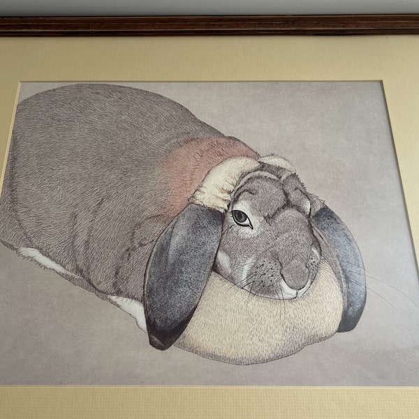 Mid-Century Pet Rabbit Art Portrait / Framed Wall Art / Made in JAPAN