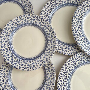 Vintage ENGLISH IRONSTONE Tableware Provence Blue & White Chintz Pattern Plates 7 English Ironstone Plates