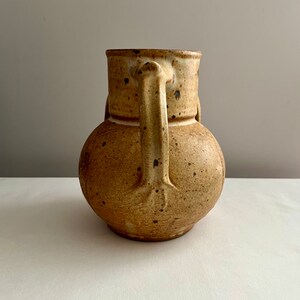 May include: A brown ceramic vase with two handles. The vase has a speckled glaze and a rounded body.