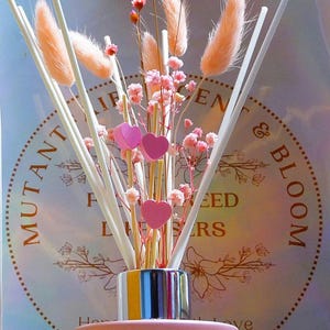 May include: A pink reed diffuser with dried flowers, including pink bunny tails, baby's breath, and pink heart-shaped accents. The diffuser has a metallic collar with yellow, blue, and silver stripes. The background features text that reads "MUTANT & BLOOM".