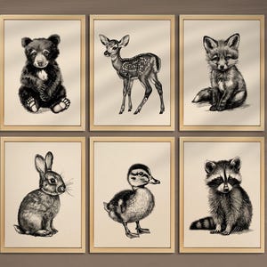 Vintage Forest Animals Baby Room Decor Set of 6 Woodland Nursery Prints Woodland Wall Decor Forest Animals Prints Deer Bear Fox Prints 028