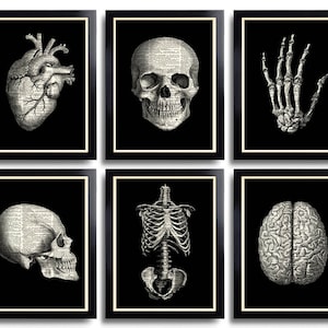 Anatomical Poster Set Anatomy Print Set of 6 Medical Wall Art Skull Art Prints Gifts for Boyfriend Set of Posters Vintage Anatomy Skull 110