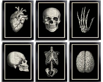 Anatomical Poster Set Anatomy Print Set of 6 Medical Wall Art Skull Art Prints Gifts for Boyfriend Set of Posters Vintage Anatomy Skull 110