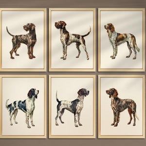 ジャーマン・ショートヘアード・ポインターのプリント 6枚セット 狩猟犬用壁飾り ジャーマン・ワイヤーヘアード・ポインターのポスター 狩猟 男の子部屋 壁アート 保育園 005