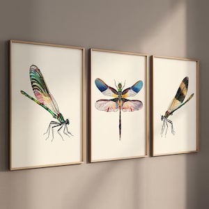 Dragonfly Print Set of 3 Dragonfly Wall Gallery Art Vintage Dragonfly Wall Decor Dragonfly Painting Dragonfly Gift Lake House Decor 012