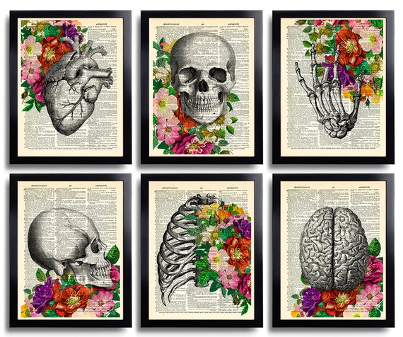 Anatomy Art Print Skeleton Flowers Wall Decor Set Of 6 Medical Etsy