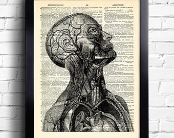 Human Anatomy Portrait Art Print Dictionary Page Art Human Anatomy Print Antique Anatomical Illustration Art Anatomy Wall Decor Skeleton 119