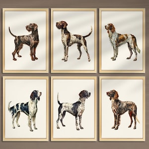 Poster Deutscher Kurzhaar Pointer 6er Set Jagdhund Wand-Dekor Drahthaar Poster Jagd 005