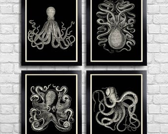 Octopus Poster Set of 4 Prints BW Squid Gift Set Bathroom Wall Decor Squid Art Print Octopus Nautical Squid Drawing Sea Life Art Print 100b