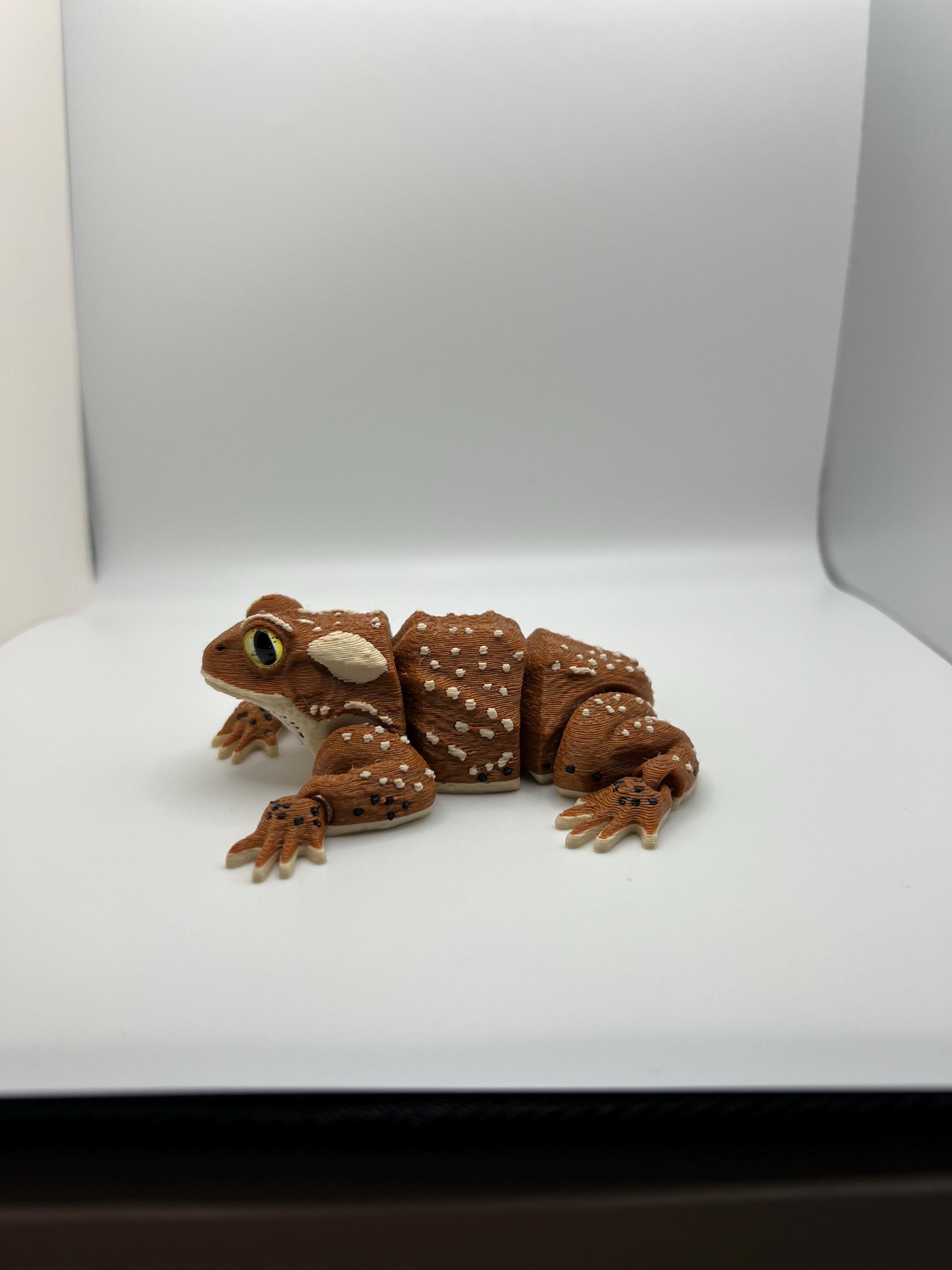 Realistic 3D Printed Articulated Toad - Etsy