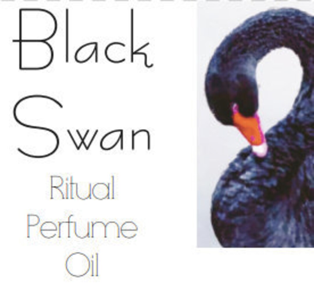 Black Swan Foresight Ritual Fragrance Oil Etsy