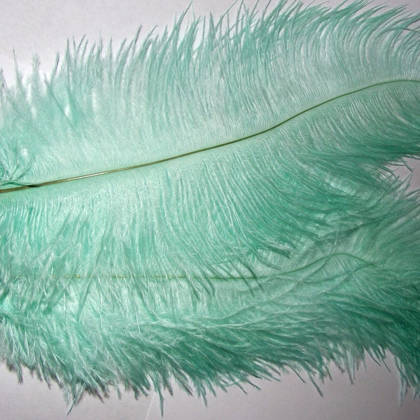 10 OSTRICH 8-10" MINT GREEN feathers Drabs feather Plumes quills Add'l ship Free