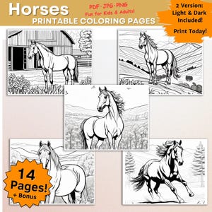 Horse Coloring Pages Printable PDF, 14 Pages + 2 Bonus, US Letter Size, Animal Coloring for Adults and Kids, Instant Download