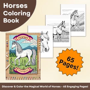 Printable Horse Coloring Pages, US Letter Size, Horse Coloring Book for Kids and Adults, Easy and Realistic Horse Coloring Sheets Download