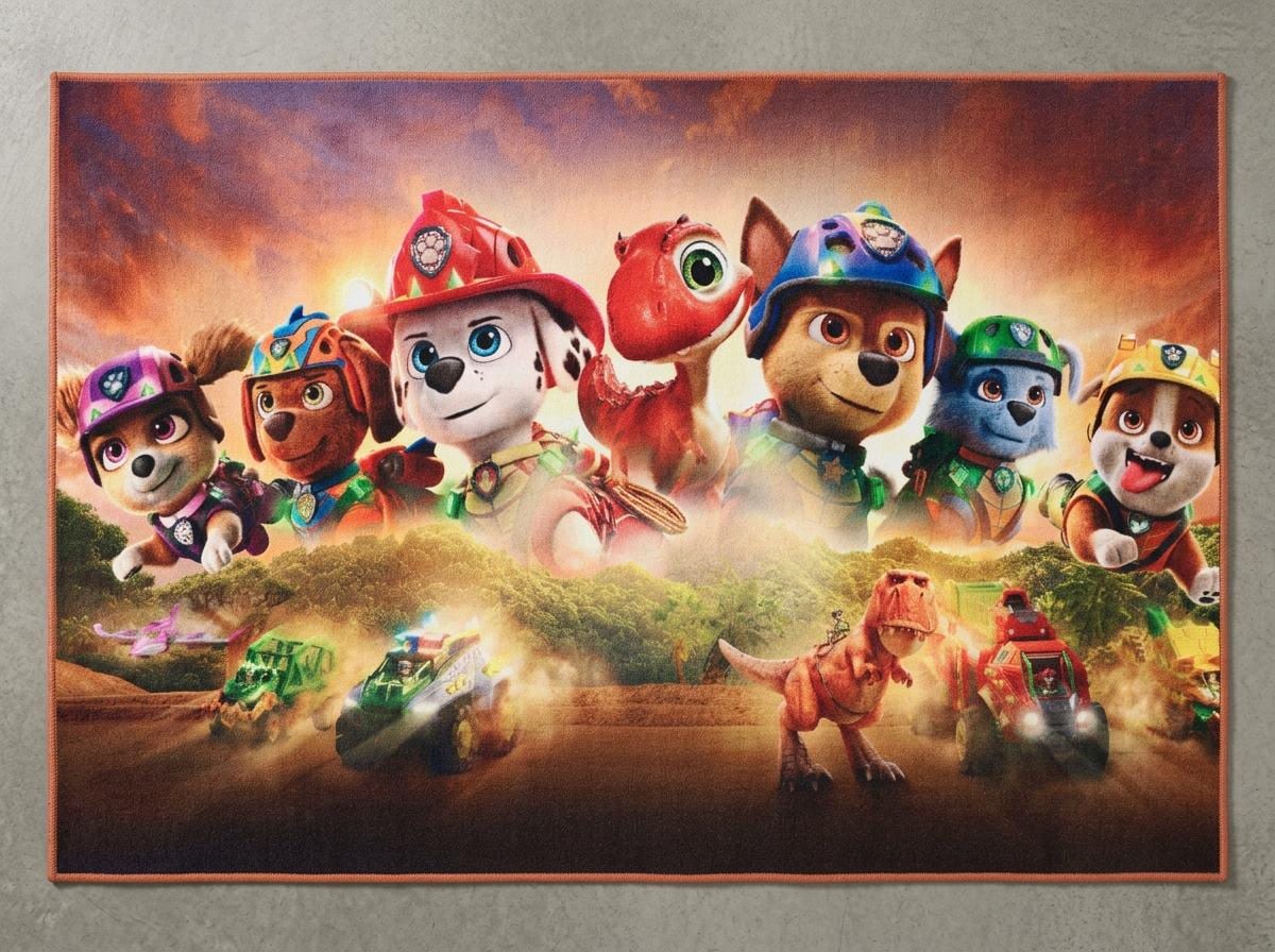 Paw Patrol Rug - Etsy