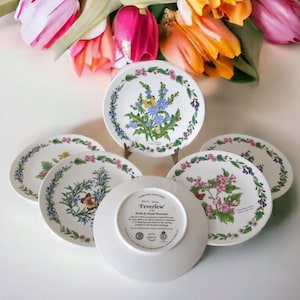 Royal Worcester Herbs Collection Decorative Plates – Vintage Wall Art – Limited Edition Botanical Plates – Made in England