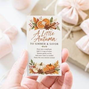 Fall Simmer Pot Gift Tag Printable, Autumn Potpourri Instruction Card, Orange Cinnamon Hostess Gift, Thanksgiving Favor