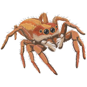 Puede incluir: Imagen bordada de una araña saltarina. La araña tiene un cuerpo marrón rojizo con una cara de color más claro y ojos grandes y negros. Las patas son largas y segmentadas, con pequeños pelos. La araña está representada sobre un fondo blanco.