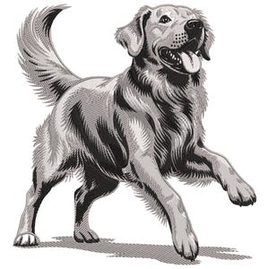 Può includere: Illustrazione in bianco e nero di un cane Golden Retriever in corsa. Il pelo del cane è strutturato con linee sottili e la sua lingua è visibile. L'immagine ha uno stile vintage inciso, con un'ombra sottostante.
