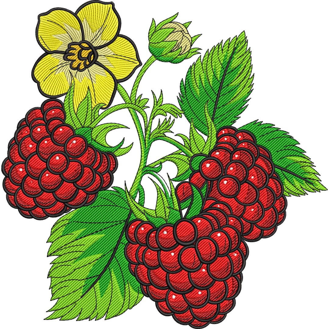 Embroider Raspberry Raspberry Berries and Blossom Embroidery Design, MINI Berry Embroidery ...