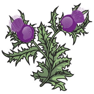 Scottish Thistle Embroidery Design: Purple Floral Machine Embroidery File, Multiple Format, 9 Sizes