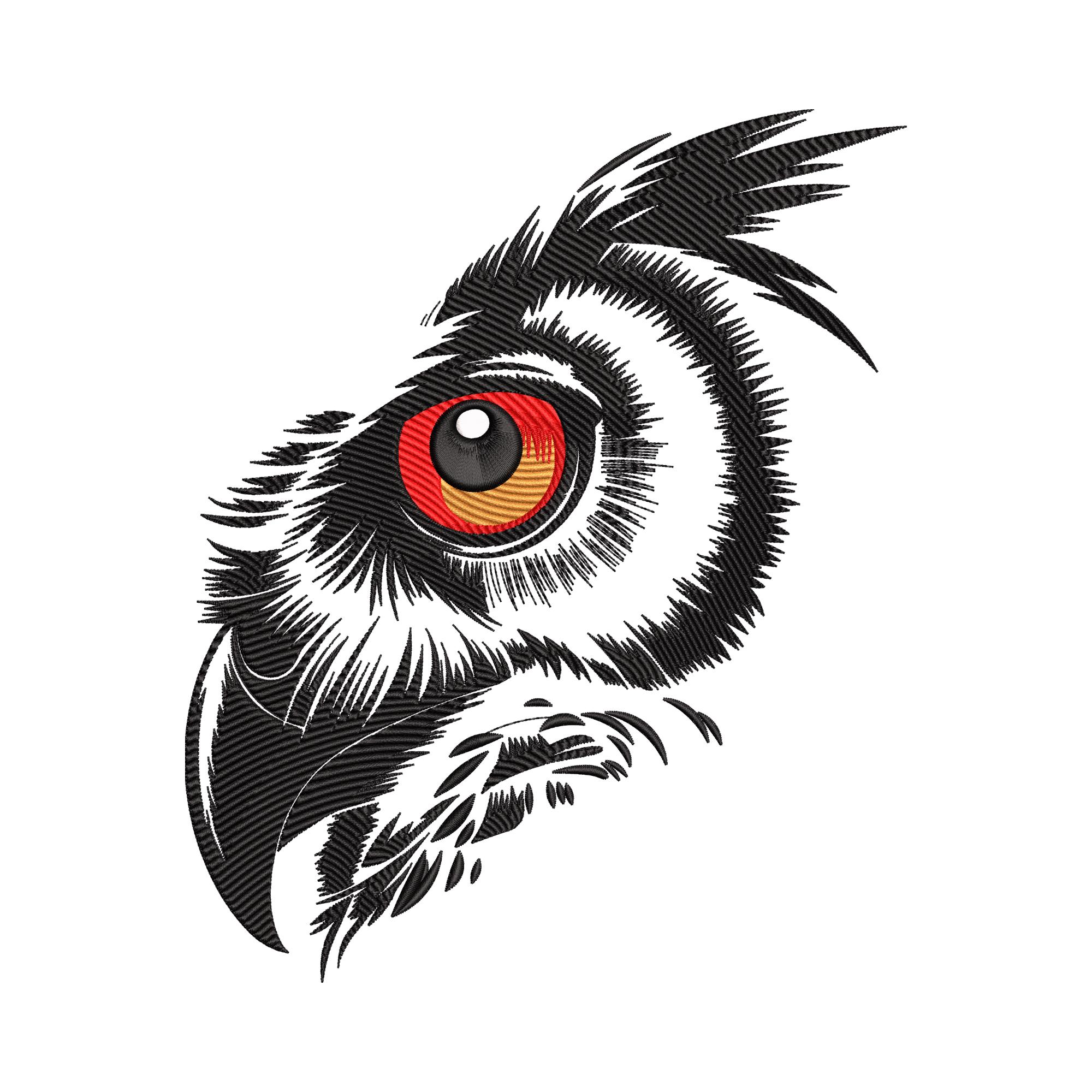 Owl Eye Embroidery Design, Fierce Bird Face Machine Embroidery Digitized File, Instant Download