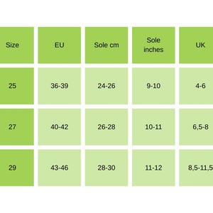May include: A shoe size conversion chart with green and white blocks. The chart includes sizes 25, 27, and 29, with corresponding EU, sole cm (24-30 cm), sole inches (9-12 inches), and UK sizes.