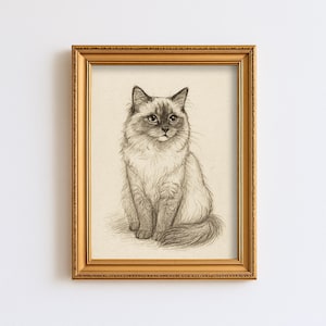 Dibujo de boceto de gato Ragdoll vintage, mascota, línea minimalista, arte de pared, ilustración, impresión rústica de granja