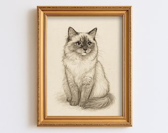 ラグドール猫のスケッチ（印刷可能） - 魅力的な猫のアート