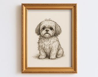 Vintage Shih Tzu Dog Sketch Drawing Pet Minimal Line Wall Art Illustration  Print Dog Lover Gift