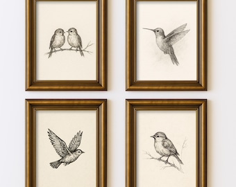 Conjunto de 4 pájaros vintage con bocetos antiguos, minimalistas, líneas de naturaleza, arte mural, ilustración, estilo cottagecore, impresión rústica de granja.