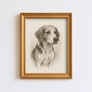 Puede incluir: Un boceto a lápiz enmarcado de un perro, que presenta un retrato detallado de un sabueso con orejas caídas y una mirada concentrada. La obra de arte está en un marco de color dorado, lo que añade un toque de elegancia a la pieza. El pelaje del perro está representado con sombreado.