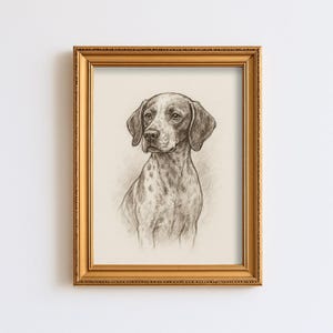 May include: A framed pencil sketch of a dog, featuring a detailed portrait of a Pointer breed. The dog has a spotted coat and floppy ears, set against a cream-colored background. The frame is gold-colored.