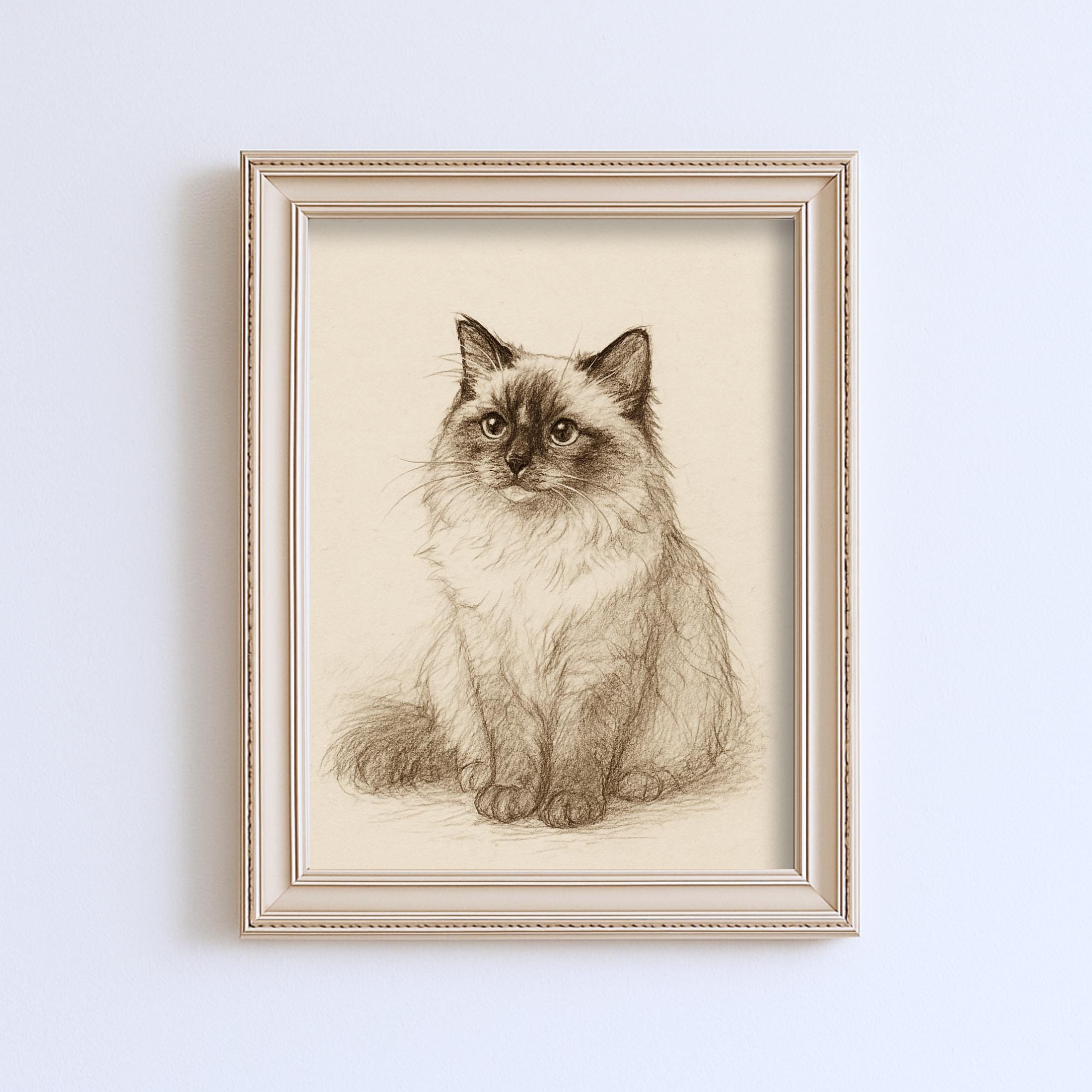 ヴィンテージラグドール猫スケッチ画ペットミニマルラインウォール