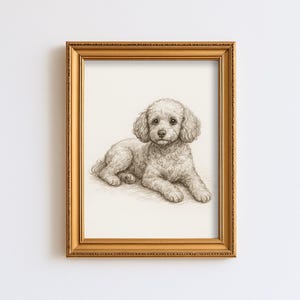 May include: A framed pencil sketch of a poodle dog lying down. The dog is light-colored with curly fur and is positioned in the center of the frame. The frame is gold-colored and rectangular.