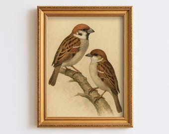 Vintage Lovebirds Pair Print Antique Wall Art Illustration Cottagecore Farmhouse Rustic Print Digital Instant Download