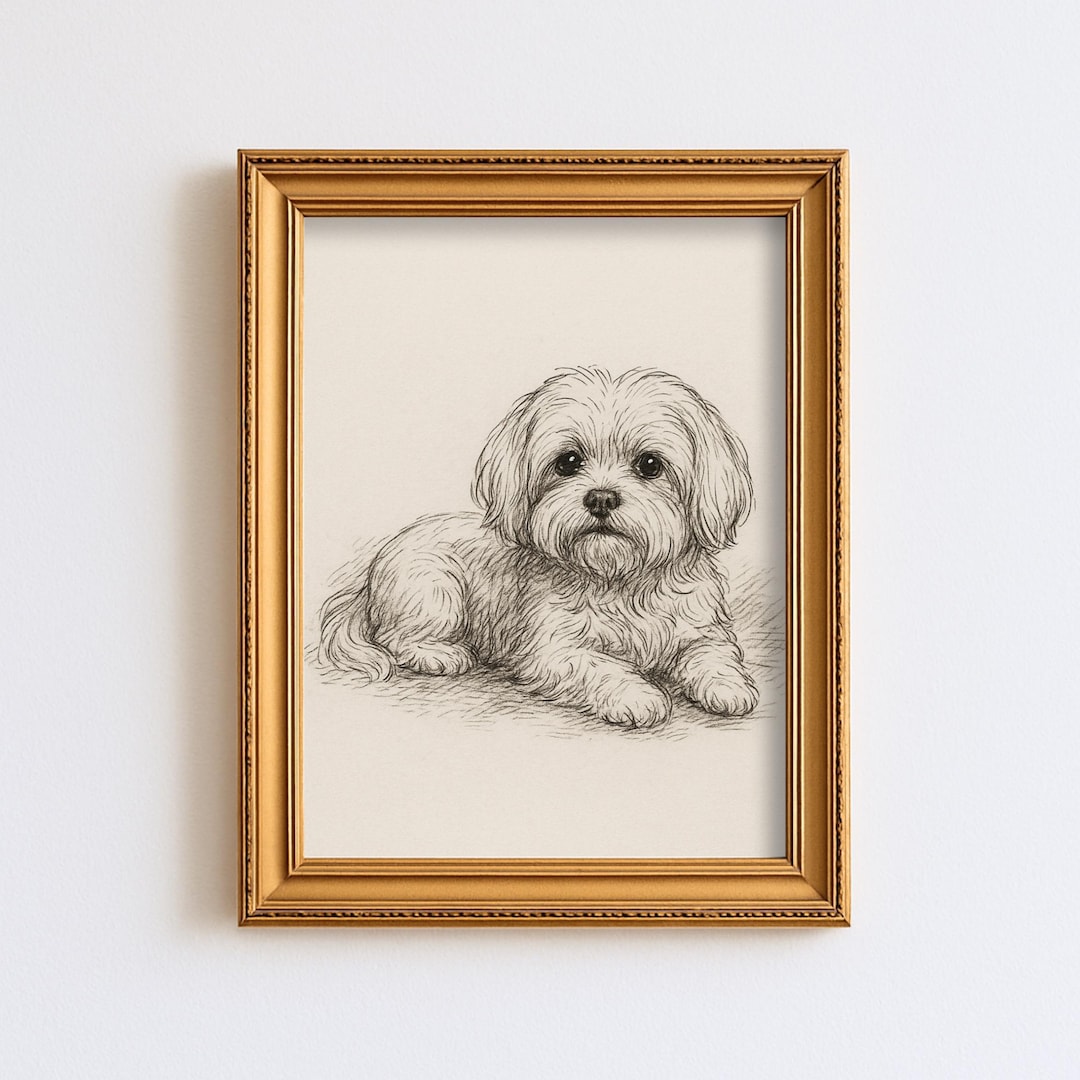 Vintage Maltese Dog Sketch Drawing Pet Minimal Line Wall Art ...