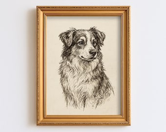 Vintage Australian Shepherd Dog Sketch Drawing Pet Minimal Line Wall Art Print Dog Lover Gift