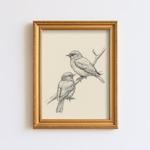 Vintage birds Pair Sketch Drawing Nursery Line Wall Art Children Baby Room Woodland Cottagecore Farmhouse Rustic Print