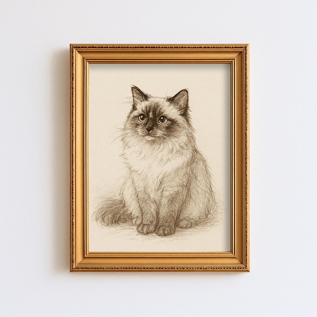 Vintage Ragdoll Cat Sketch Drawing Pet Minimal Line Wall Art ...