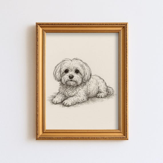 ヴィンテージ マルチーズ 犬のスケッチ画 ペット ミニマルライン