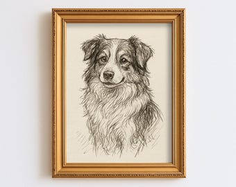 Vintage Australian Shepherd Dog Sketch Drawing Pet Minimal Line Wall Art Print Dog Lover Gift